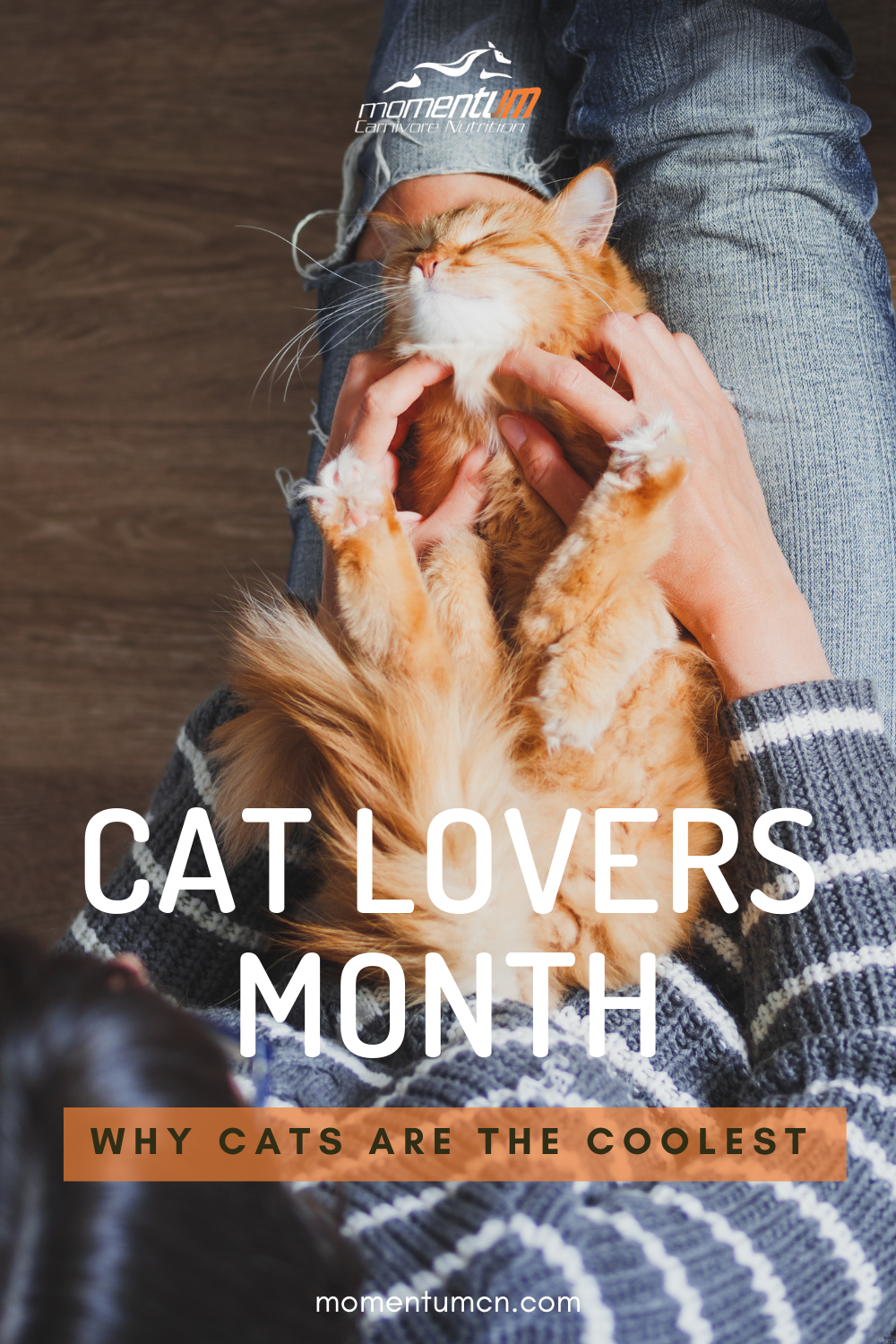 NATIONAL CAT LOVERS' MONTH