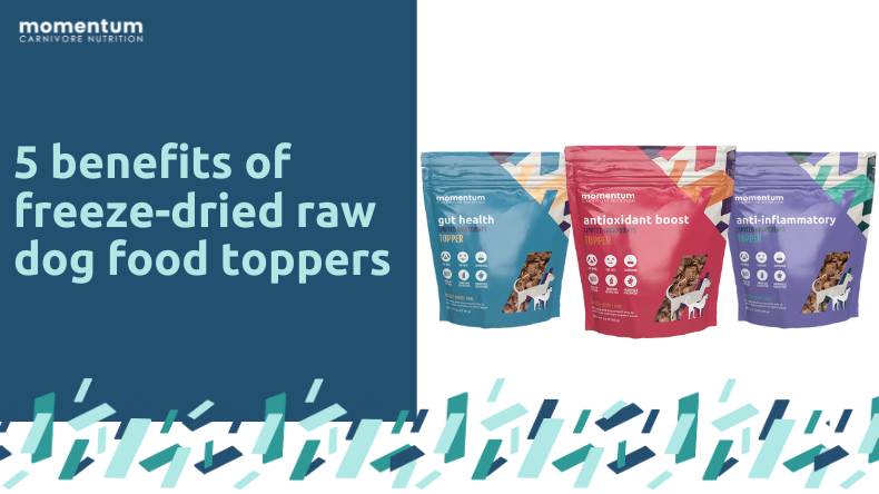 Freeze dried dog food toppers best sale