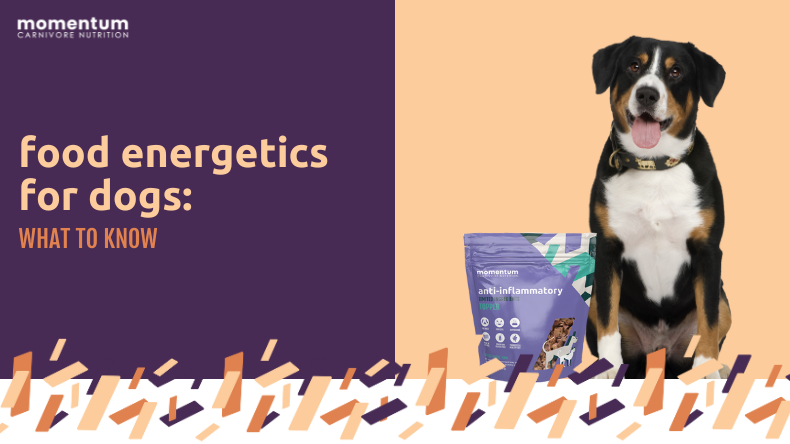 Cold protein for dogs outlet