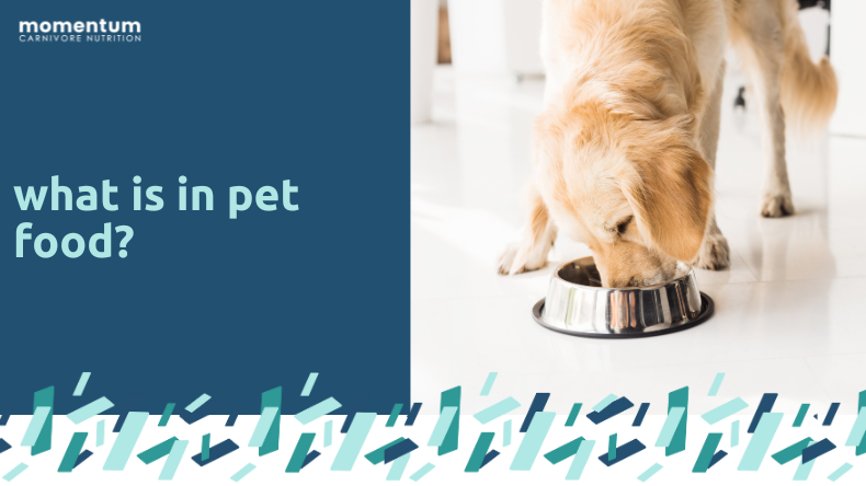 Important Ingredients for Dog Food MomentumCN