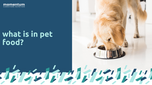 Breaking Down the Ingredients in your Pet’s Food