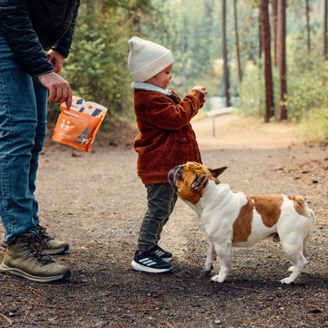 Momentum carnivore nutrition bison tripe freeze-dried cat and dog treats