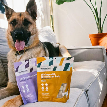 Momentum carnivore nutrition pork tenderloin and chicken with spinach and sea kelp dog and cat treats. Single-ingredient, organic, non-gmo pet treats your animals will love.