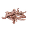 Bully Sticks-Dog Chews