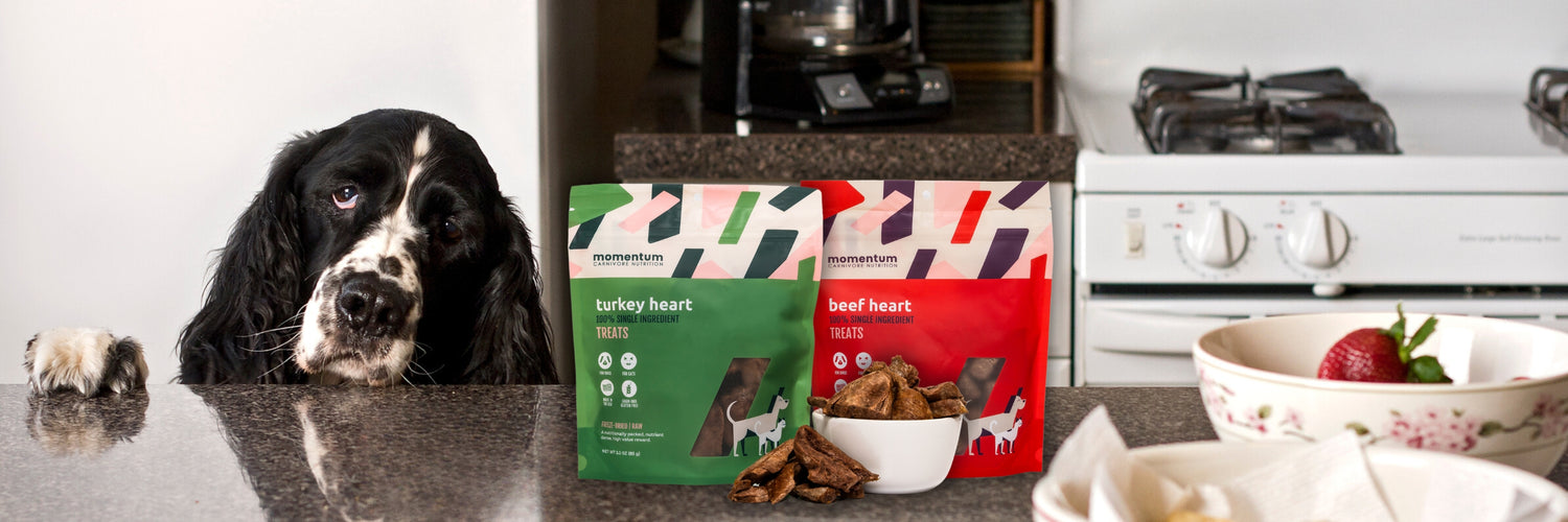 Momentum Carnivore Nutrition single ingredient dog treats. Great for treats, training, and rewards. Give your dog the best freeze-dried dog treats on the market.