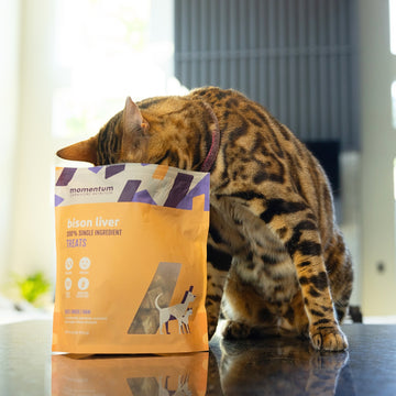 Momentum carnivore nutrition bison liver freeze-dried dog treats and cat treats.