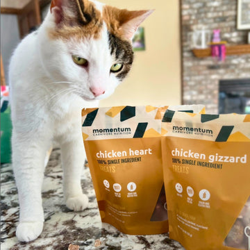 Momentum carnivore nutrition chicken heart and chicken gizzard cat freeze-dried raw pet treats.