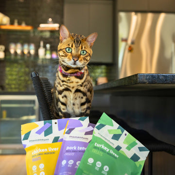 momentum carnivore nutrition chicken liver, pork tenderloin, and turkey liver cat treats. Single-ingredient, all natural, non-gmo cat treats your pets will love