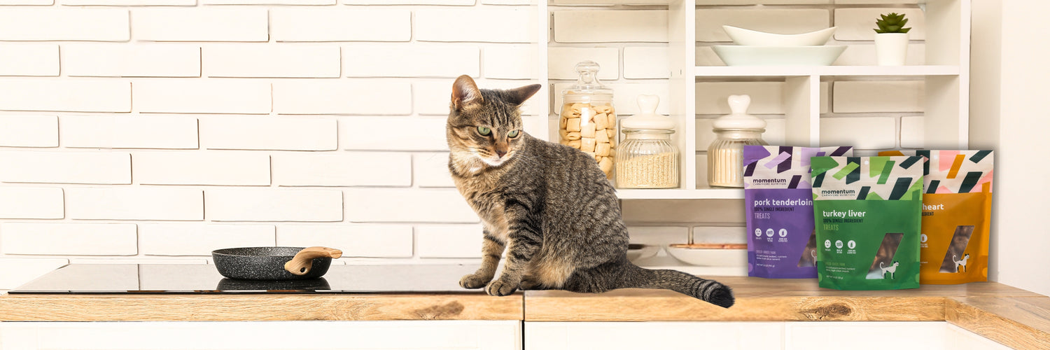 momentum carnivore nutrition single ingredient cat treats and snacks.  Your cats will love these organic, non-gmo cat treats made in the USA