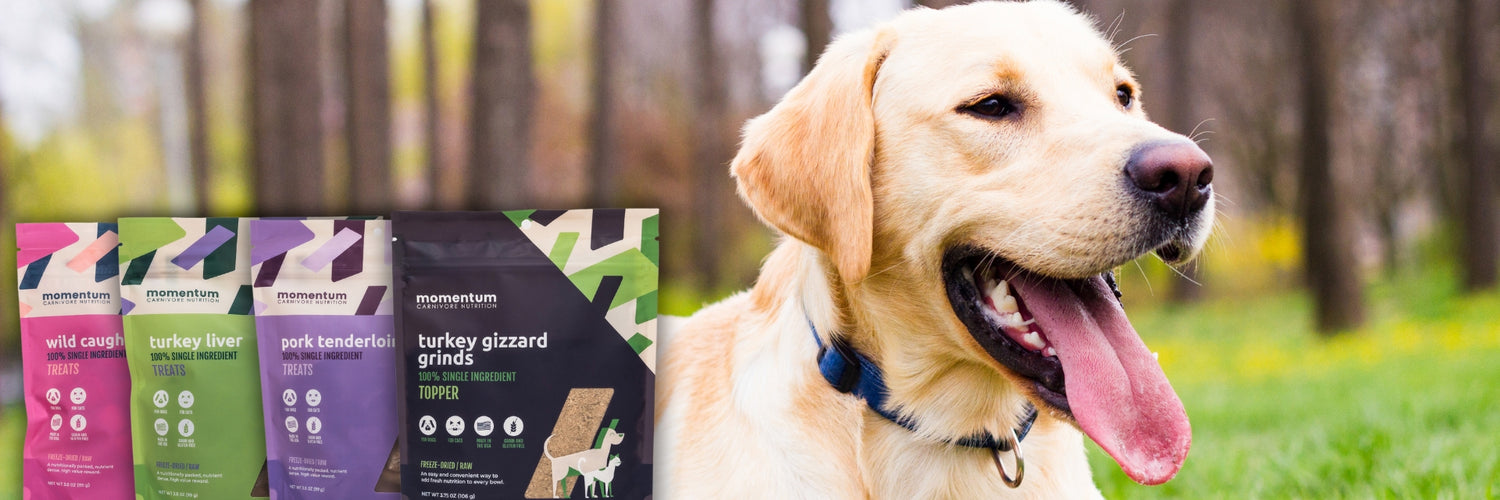 Momentum Carnivore nutrition freeze-dried cat and dog treats. Single-ingredient, non -gmo, non gluten, pet treats.