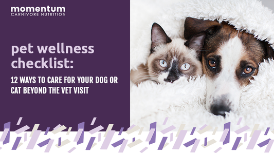 pet wellness checklist for dogs and cats during National Pet Wellness Month