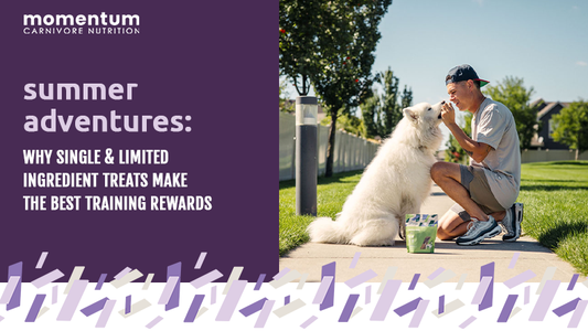 Dog enjoying Momentum single ingredient training treat during outdoor hike