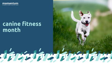 Canine Fitness Month