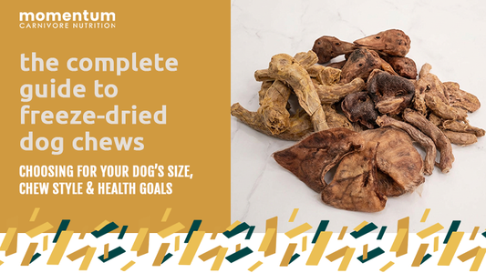 the complete guide to freeze-dried dog chews: how to chews the right chew for your pet's size, chewing style, and health goals