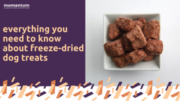 everything you need to know about freeze-dried dog treats