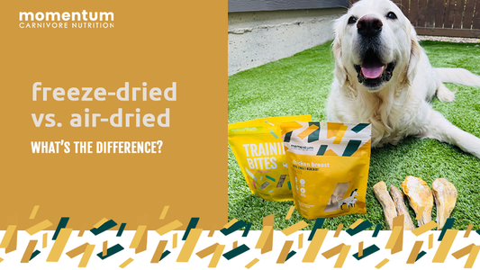 freeze-dried vs. air-dried: what's the difference?
