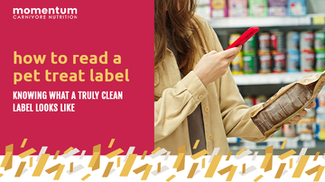 Pet parent reading the ingredient label on a bag of Momentum Carnivore Nutrition freeze-dried dog treats
