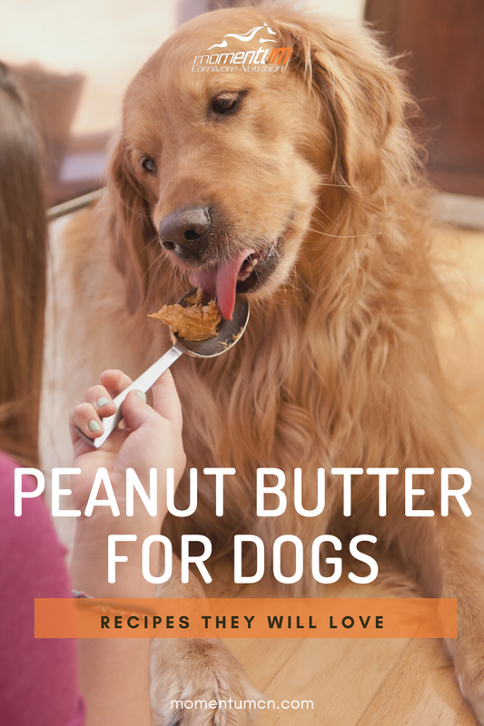 Favorite Peanut Butter Recipes for Pets
