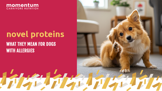 novel proteins for dogs with allergies
