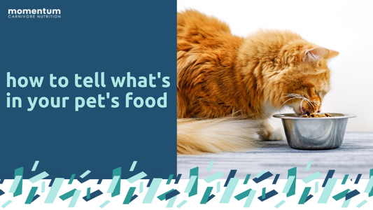 How To Tell What's In Your Pet's Food