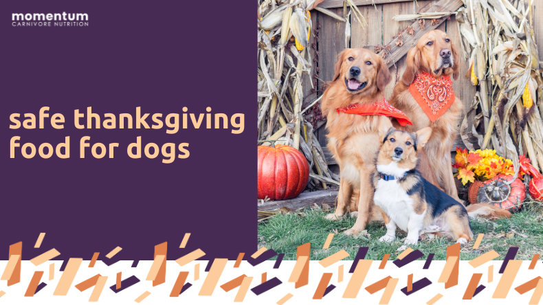 Safe thanksgiving 2024 food for dogs