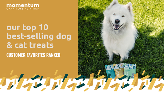 Dog enjoying Momentum's top selling freeze-dried single ingredient dog and cat treats