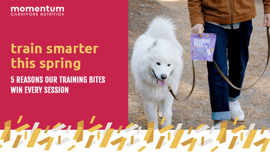 spring training: 5 reasons Momentum training bites make better rewards for dogs & cats