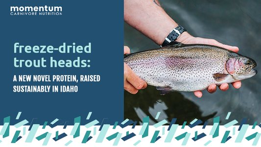 freeze-dried trout heads for dogs: a new novel protein, raised sustainably in Idaho