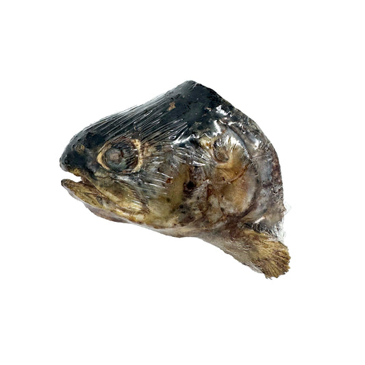 Freeze-Dried Single-Ingredient Rainbow Trout Head Dog Chews