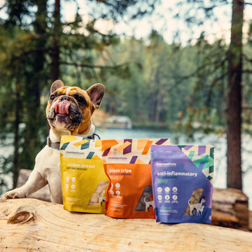 Chicken breast, bison tripe, and anti inflammatory dog treats and cat treats. Bulldog licking his lips outside for dog treats. 