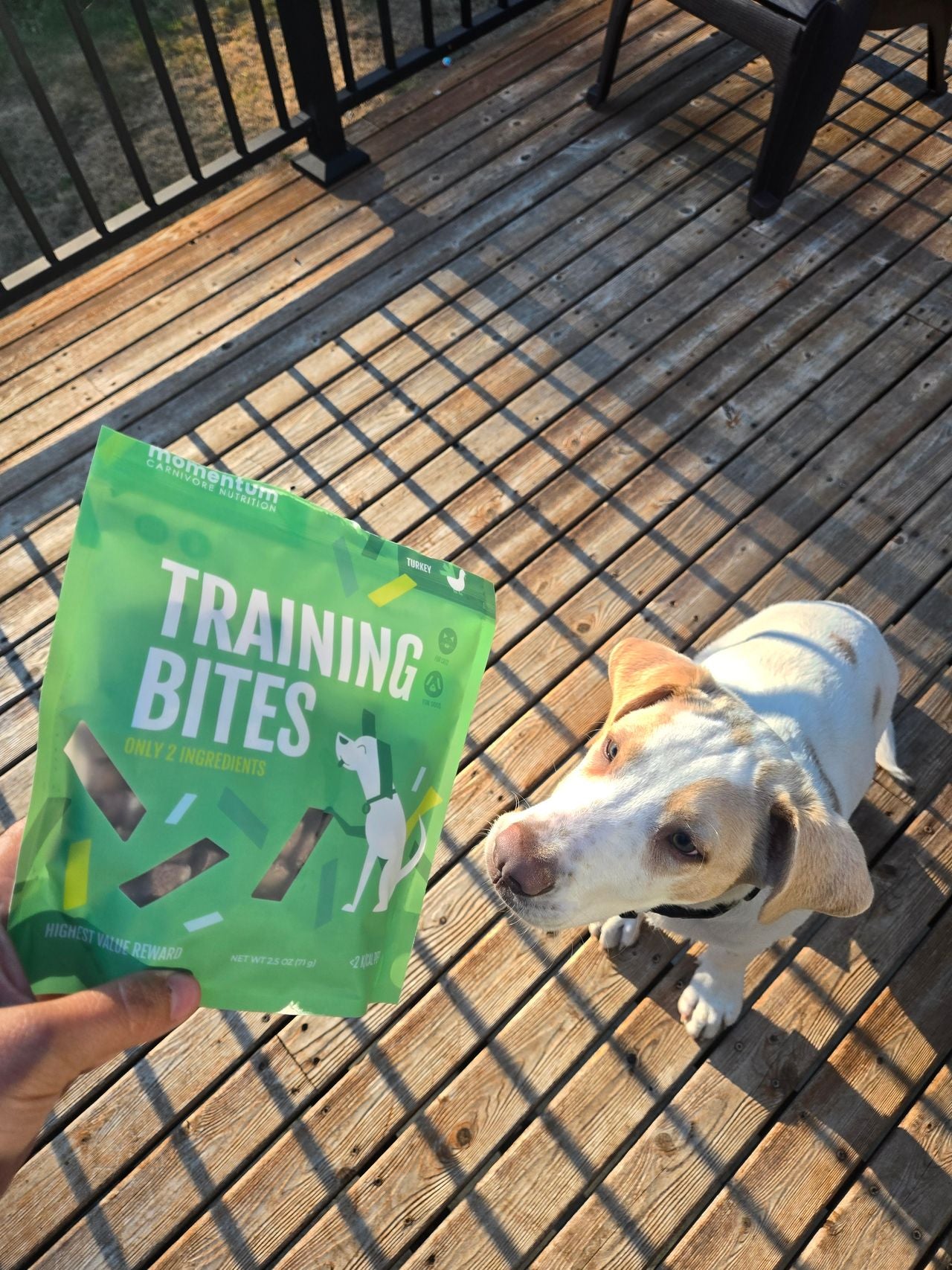 Freeze-Dried Turkey Training Bites | Momentum – MomentumCN
