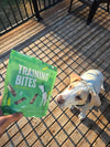 Freeze-Dried Turkey Training Bites for Dogs & Cats | Limited Ingredient, High-Protein