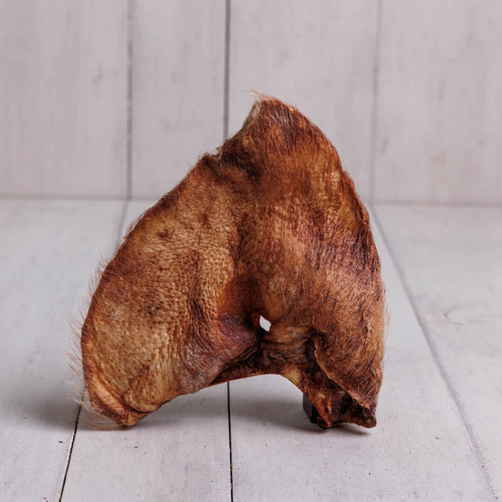 Momentum Carnivore Nutrition freeze-dried hairy pig ear dog chew single ingredient natural fiber