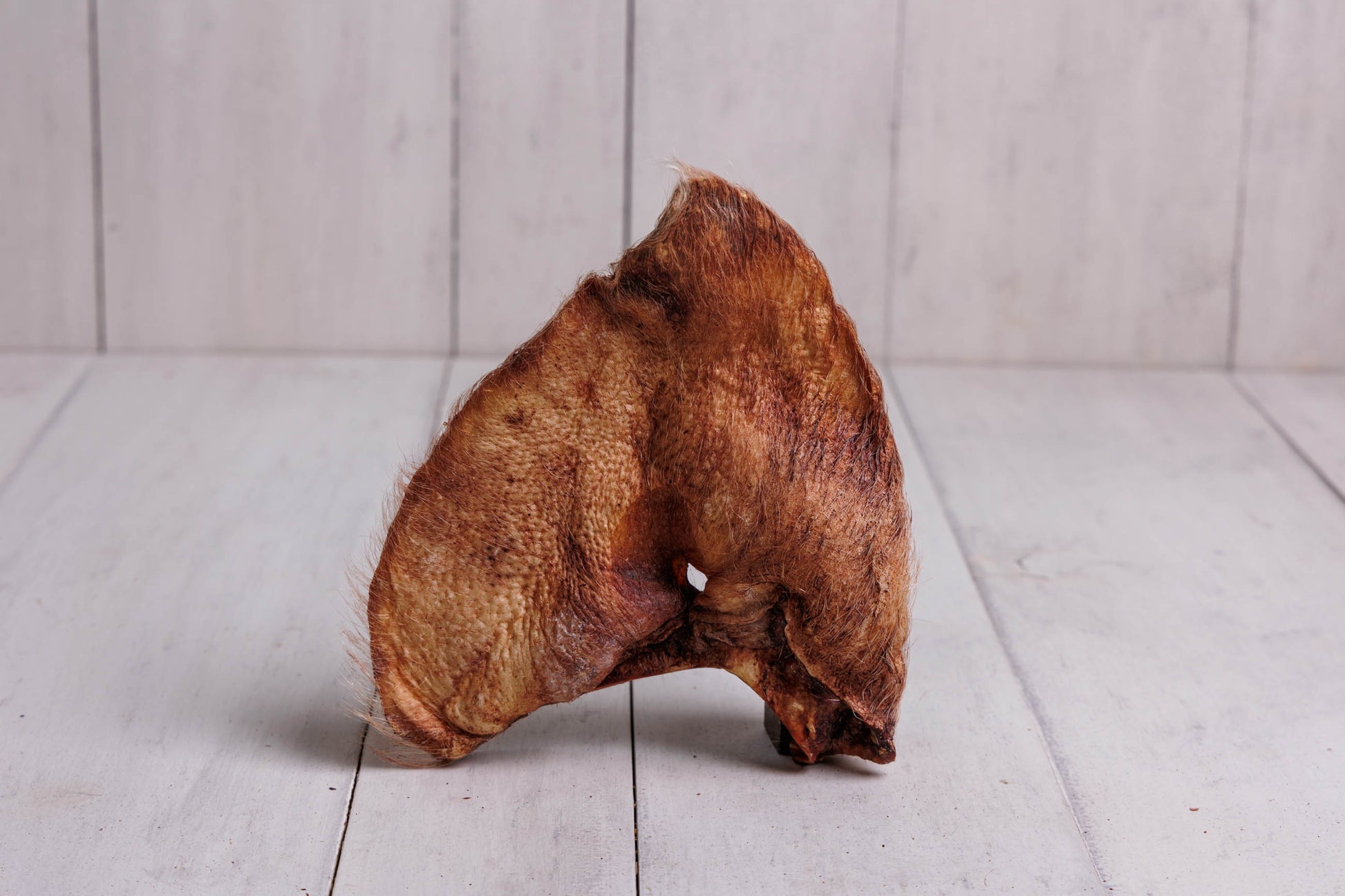 Momentum Carnivore Nutrition freeze-dried hairy pig ear dog chew single ingredient natural fiber