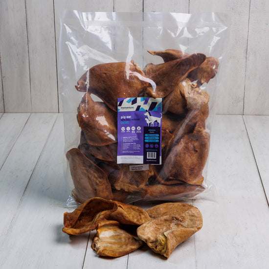 Momentum Carnivore Nutrition freeze-dried pig ear bulk dog chews 18 ct single ingredient