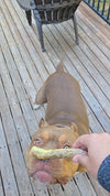 Light Chewer Bundle