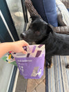 Freeze-Dried Pork Tenderloin Treats for Dogs & Cats | Single Ingredient, High-Protein