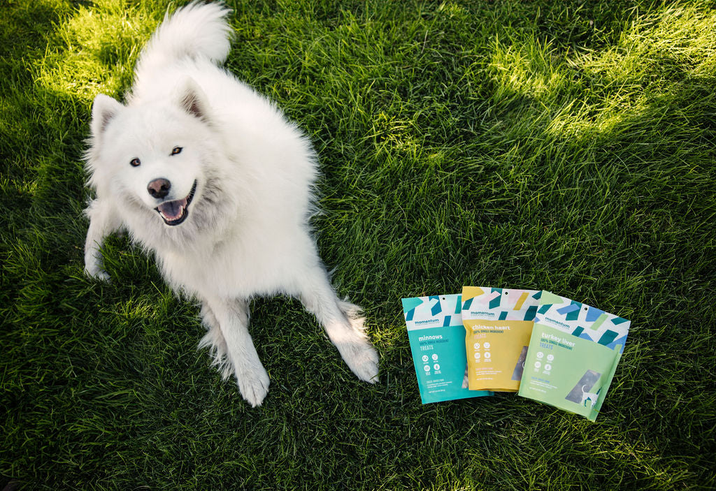 Chicken Heart Dog Treats – MomentumCN
