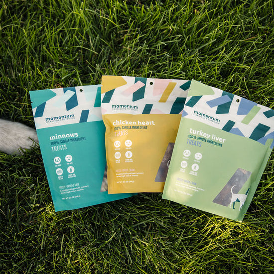 Three Momentum pet food packages on grass with a dog's paw visible.