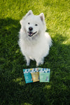 Dog enjoying Momentum freeze-dried turkey liver treats single ingredient novel protein snack