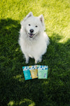 Dog being rewarded with Momentum freeze-dried minnow treats during training session