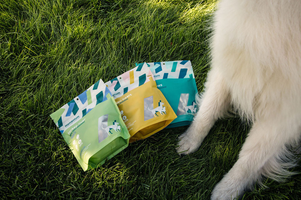 Dog enjoying Momentum freeze-dried turkey liver treats single ingredient novel protein snack