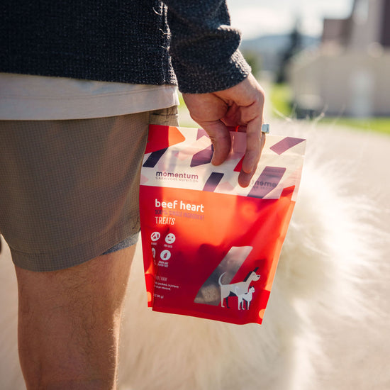 Pet owner treating dog with Momentum freeze-dried beef heart single ingredient treats