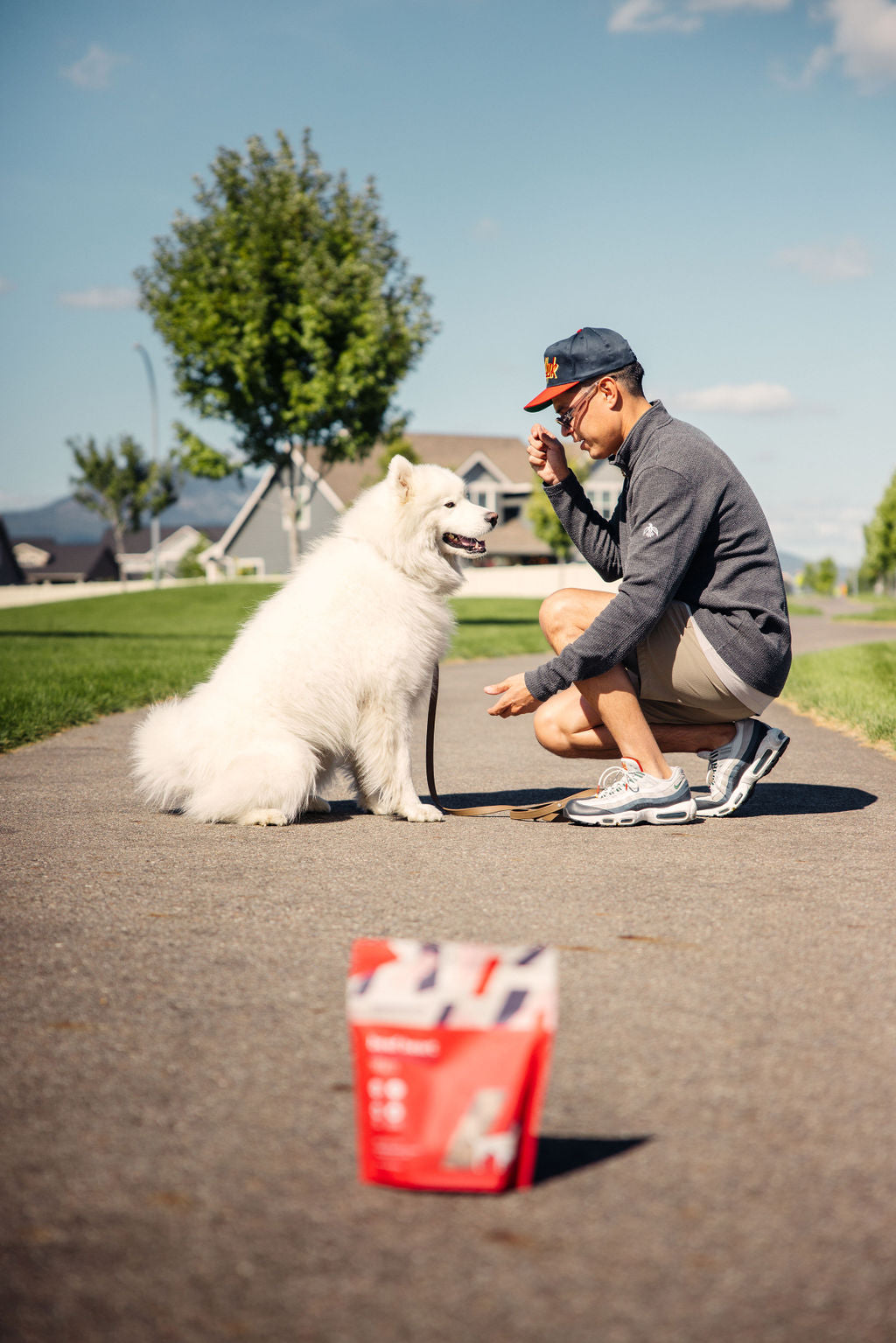 Dog enjoying Momentum freeze-dried beef heart treats single ingredient high protein snack