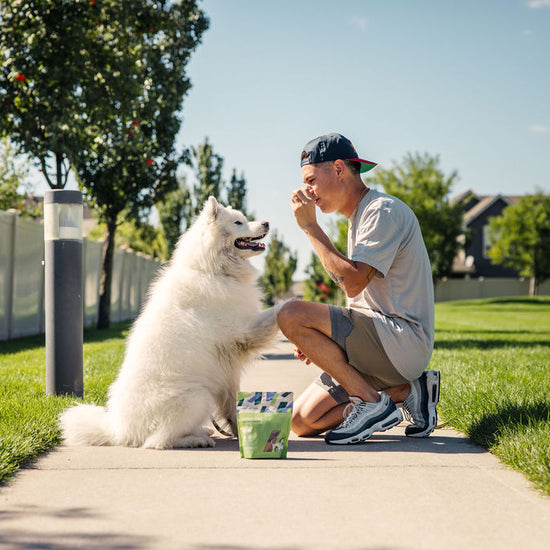 Dog being rewarded with Momentum freeze-dried turkey liver treats during training session
