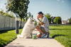 Dog being rewarded with Momentum freeze-dried turkey liver treats during training session