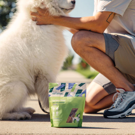 Dog being rewarded with Momentum freeze-dried turkey liver treats during training session