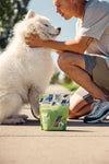 Dog being rewarded with Momentum freeze-dried turkey liver treats during training session