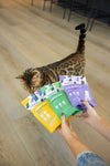 Cat enjoying Momentum single ingredient freeze-dried turkey liver treats novel protein