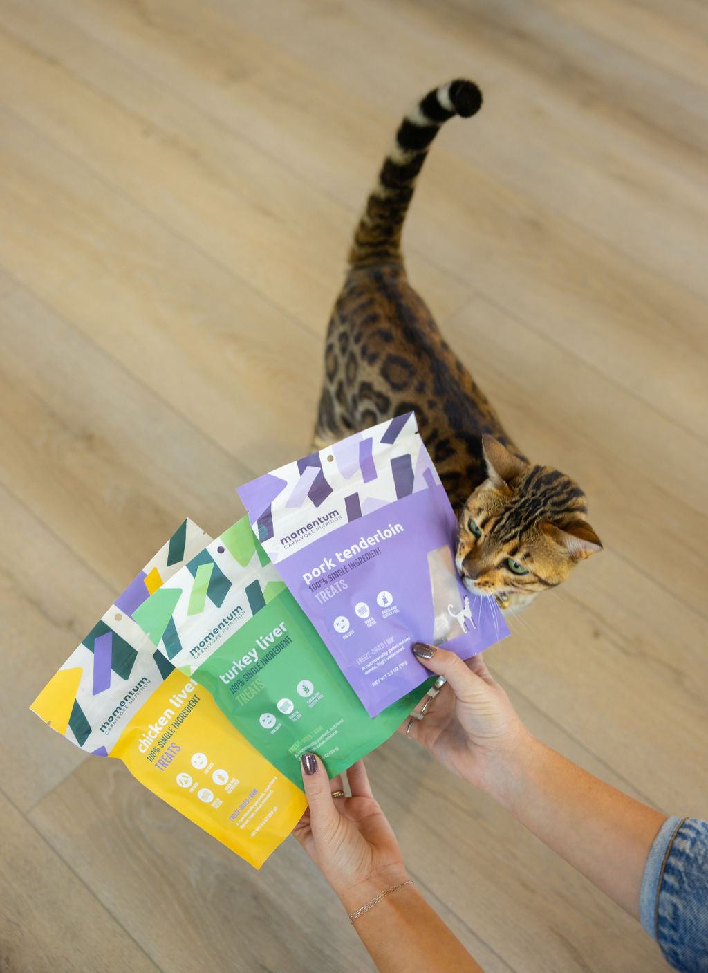 Cat enjoying Momentum single ingredient freeze-dried pork tenderloin treats novel protein